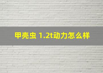 甲壳虫 1.2t动力怎么样